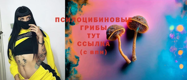 прущие крисы Аркадак