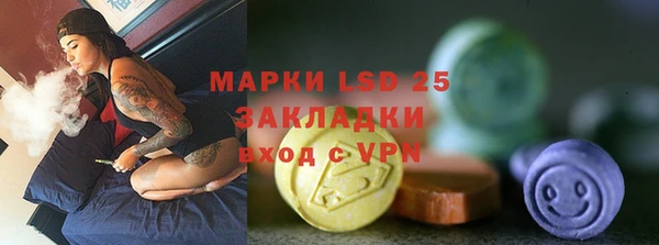 ПСИЛОЦИБИНОВЫЕ ГРИБЫ Арсеньев
