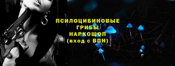 ПСИЛОЦИБИНОВЫЕ ГРИБЫ Арсеньев