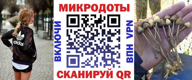 купить наркотики сайты ссылка на мегу вход Галлюциногенные грибы мухоморы Мытищи